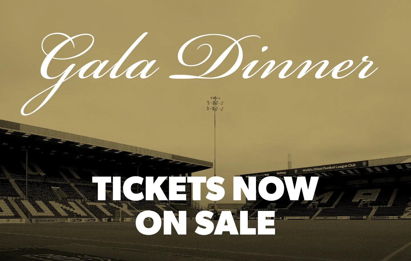 Charity Gala Dinner Fundraiser 2023
